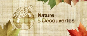 natures-et-decouvertes-20-conversion
